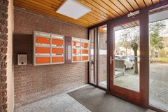 FOTO - Groenhof 177--03.jpg